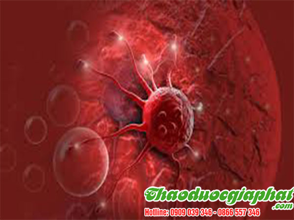 bot-que-phong-chong-ung-thu-tai-quan-go-vap