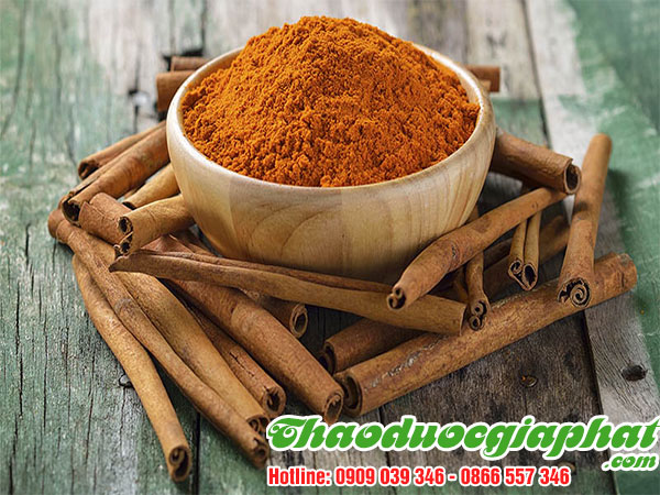 bot-que-tai-quan-go-vap