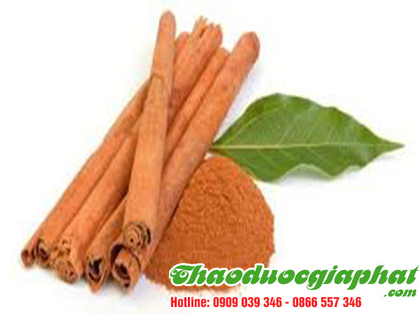 bot-que-tai-quan-tan-binh