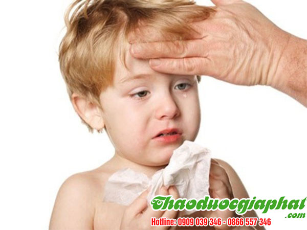 bot-que-tri-cam-cum-tai-quan-12