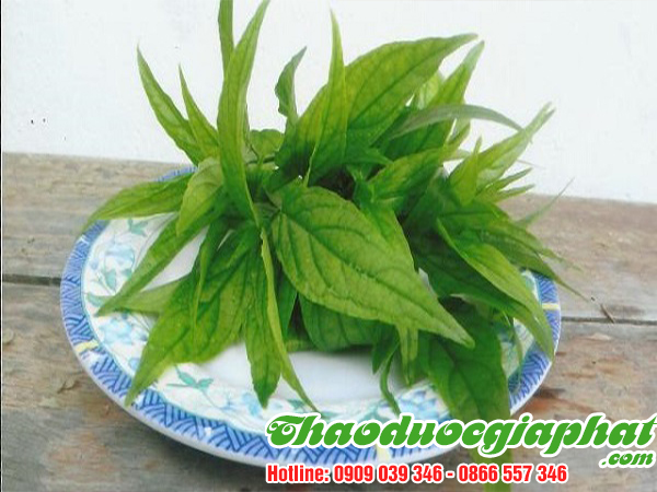 cay-bim-bip-tai-huyen-binh-chanh-uy-tin