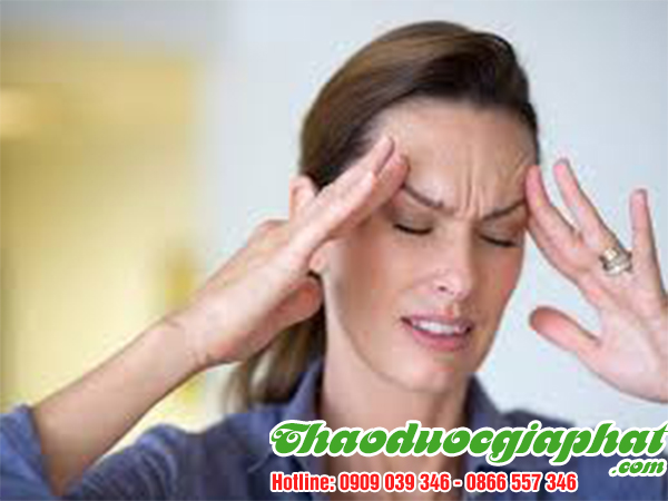 cay-bim-bip-tai-quan-tan-binh-uy-tin-tri-suy-giam-tri-nho