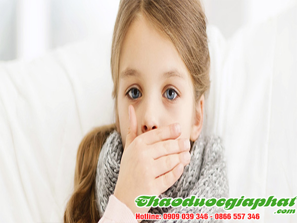 cay-ca-gai-leo-tri-ho-ga-tai-quan-11