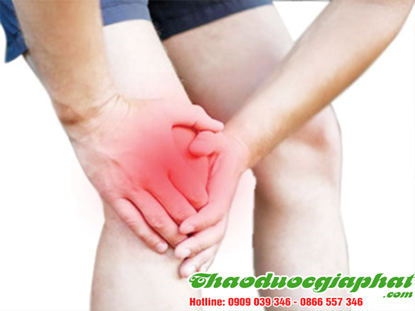 cay-ca-gai-leo-tri-thap-khop-tai-quan-9