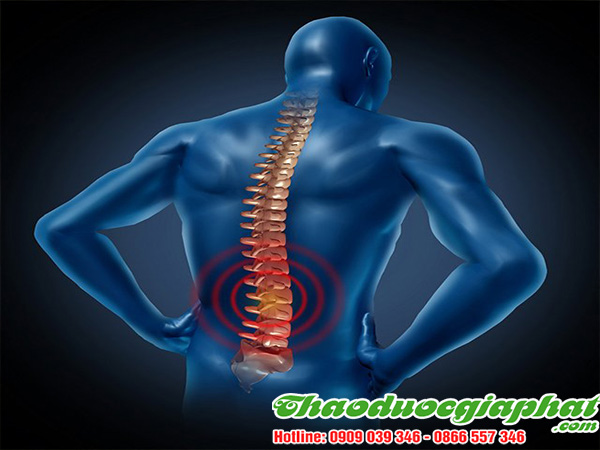 cay-ca-gai-leo-tri-thoai-hoa-cot-song-tai-quan-tan-phu.