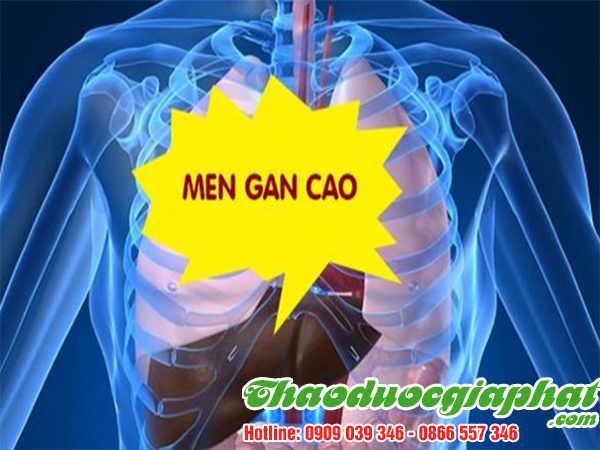 cay-co-muc-tai-tri-men-gan-hieu-qua-cao-quan-12-tot-nhat