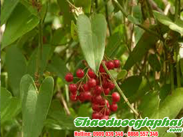 cu-khuc-khac-tai-quan-12-tot-nhat