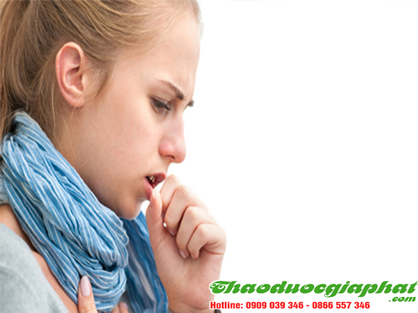 cay-mac-co-tri-hen-phe-quan-tai-huyen-can-gio