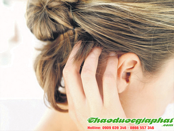 cay-mac-co-tri-nam-da-dau-tai-quan-11.