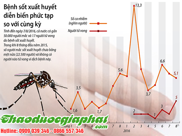 cay-sai-dat-chat-luong-nhat-tai-quan-10-chat-luong-nhat