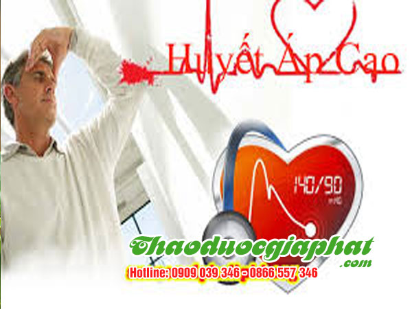 cay-sai-dat-chat-luong-nhat-tai-quan-binh-thanh-cao-huyet-ap