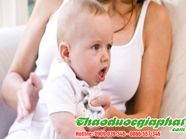 cay-sai-dat-chat-luong-nhat-tai-quan-tan-binh-ho-ga