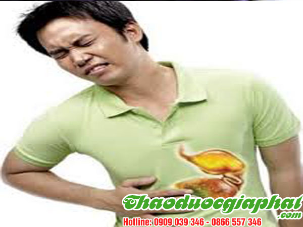 cay-thien-nien-kien-giup-tri-dau-da-day-tai-quan-8