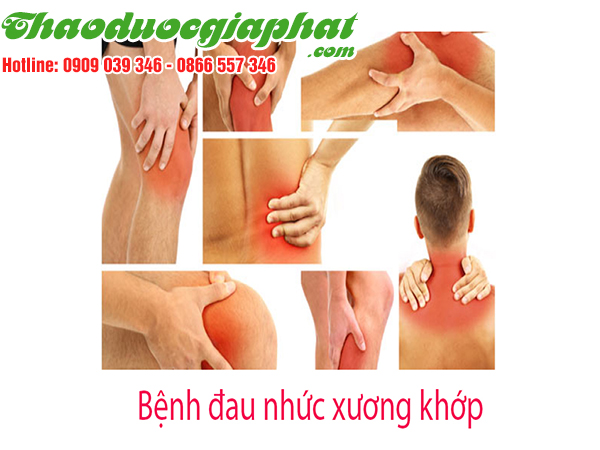 cay-thien-nien-kien-tri-dau-nhuc-khop-tai-quan-7