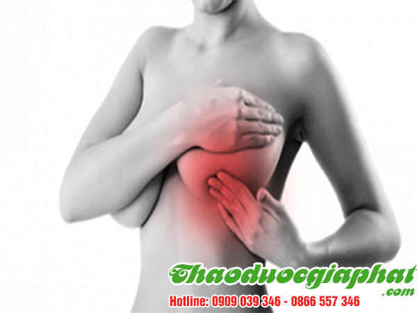 cay-thuoc-doi-dieu-tri-sung-tuyen-vu-tai-quan-binh-tan