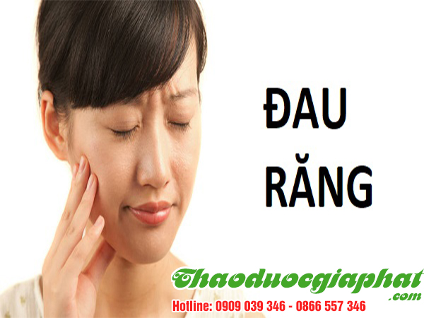 cay-thuoc-doi-giup-tri-dau-rang-tai-quan-9