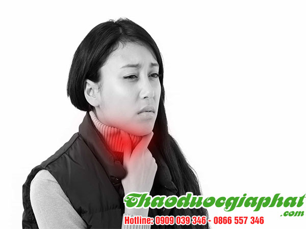 cay-thuoc-doi-giup-tri-viem-hong-tai-huyen-cu-chi