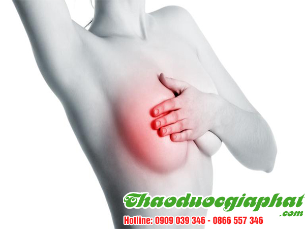 cay-thuoc-doi-giup-tri-viem-sung-vu-tai-quan-3