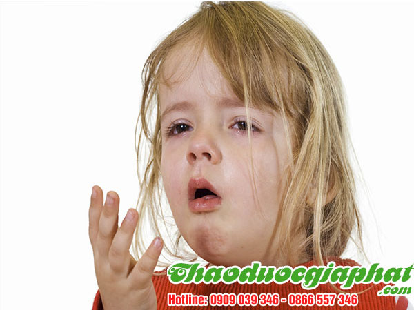 cay-thuoc-doi-tri-ho-tai-quan-thu-duc