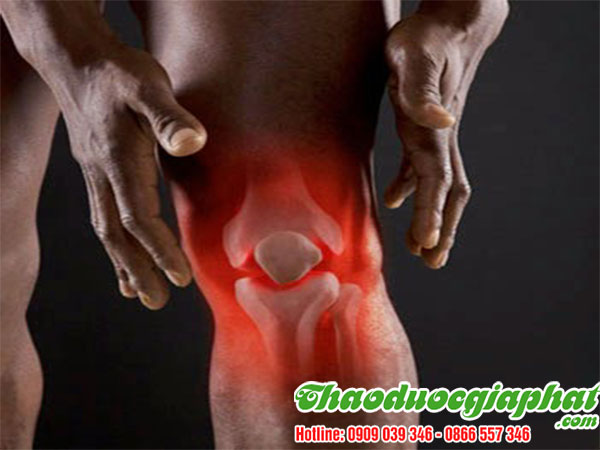 cong-dung-cua-bot-que-tai-quan-6