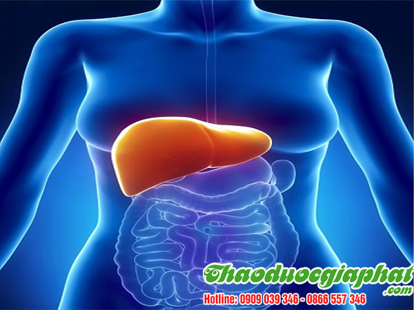 cong-dung-cua-bot-que-tai-quan-7