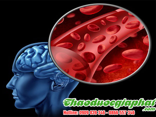 cong-dung-cua-bot-que-tai-quan-8