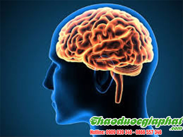 cong-dung-cua-bot-que-tai-quan-9