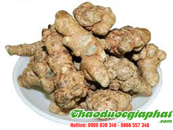 cu-tam-that-bac-huyen-can-gio