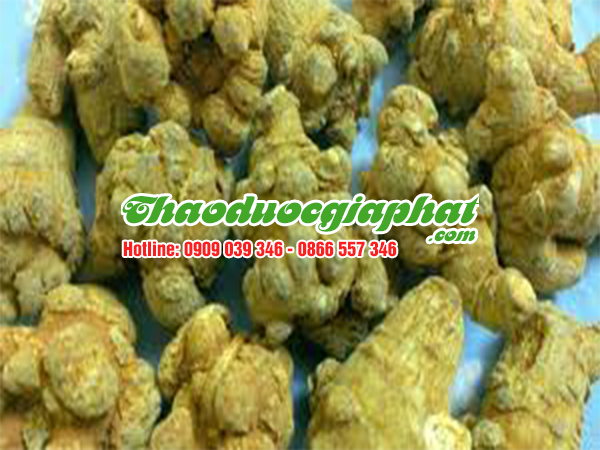 cu-tam-that-bac-huyen-cu-chi