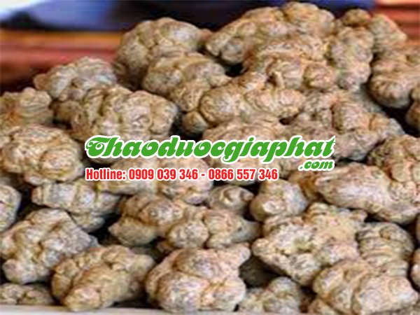 cu-tam-that-bac-huyen-hoc-mon