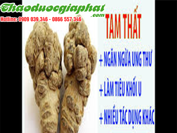 cu-tam-that-bac-quan-11