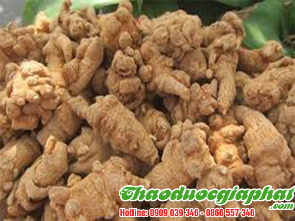 cu-tam-that-bac-quan-7