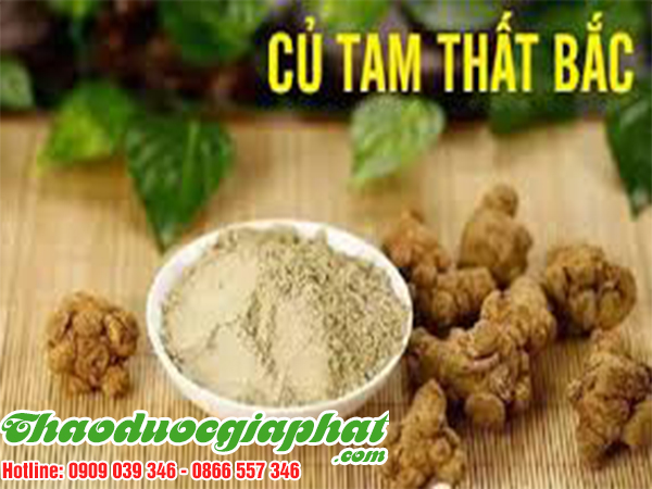 cu-tam-that-bac-quan-9