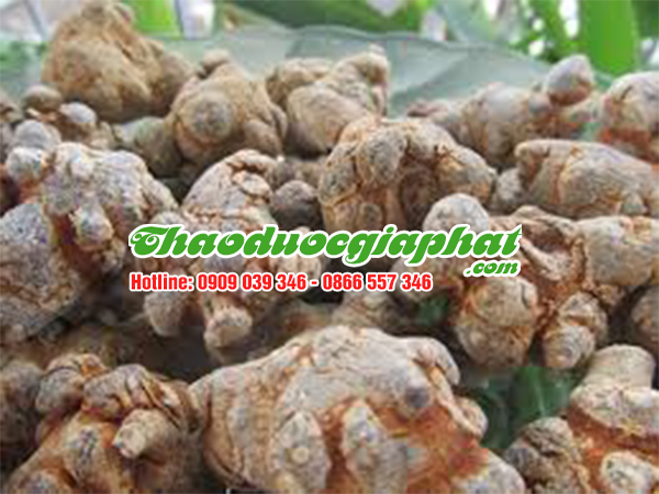 cu-tam-that-bac-quan-binh-tan