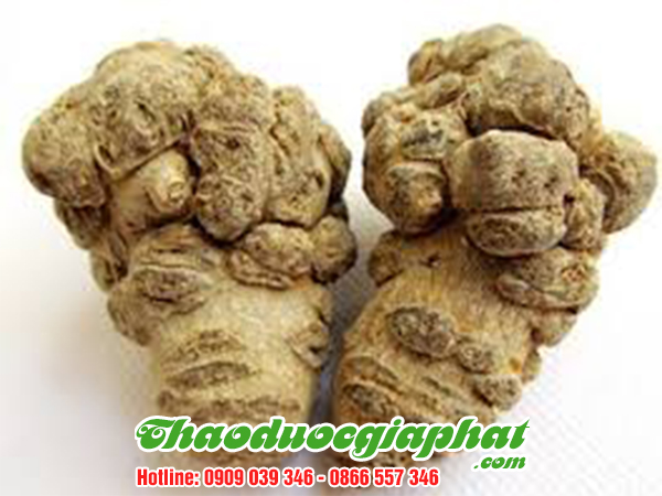 cu-tam-that-bac-quan-binh-thanh