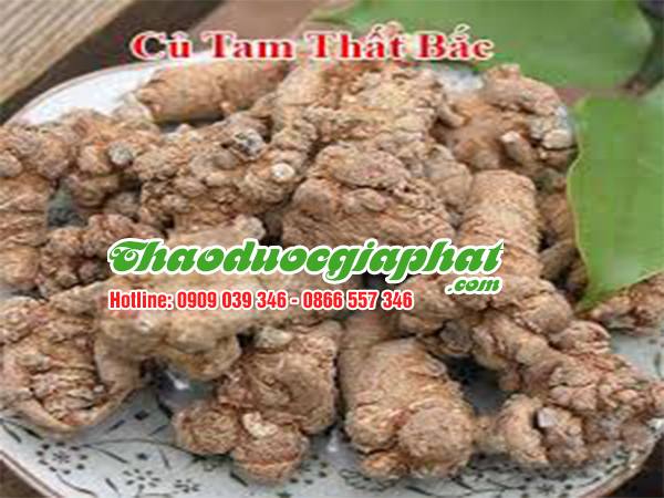 cu-tam-that-bac-quan-go-vap