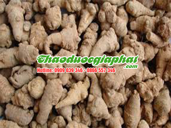 cu-tam-that-bac-quan-phu-nhuan