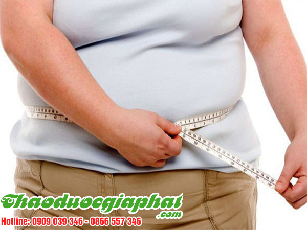 day-thia-canh-chong-beo-phi-tai-quan-4