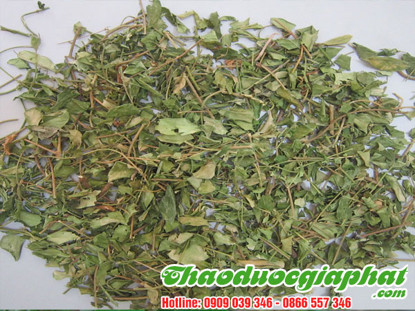 day-thia-canh-tai-quan-2.
