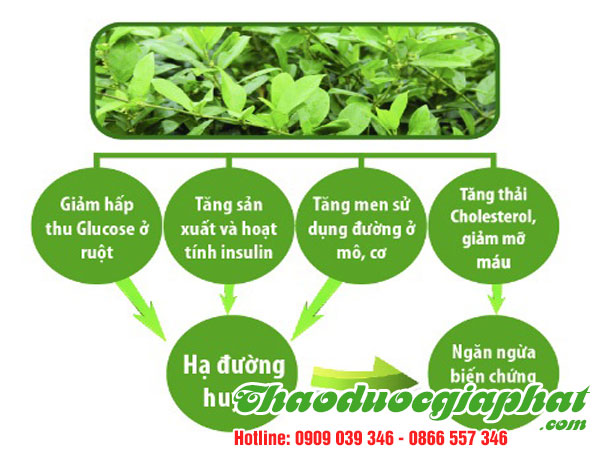 day-thia-canh-tai-quan-5