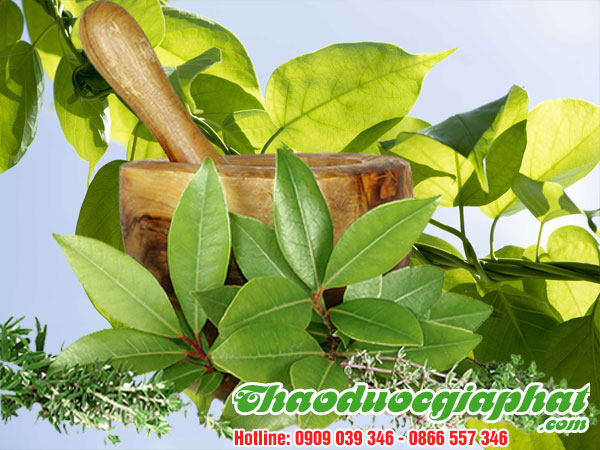 day-thia-canh-tai-quan-9