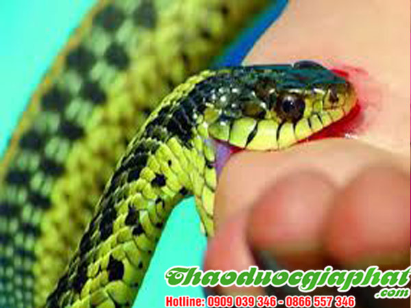 day-thia-canh-tri-ran-can-doc-tai-quan-7