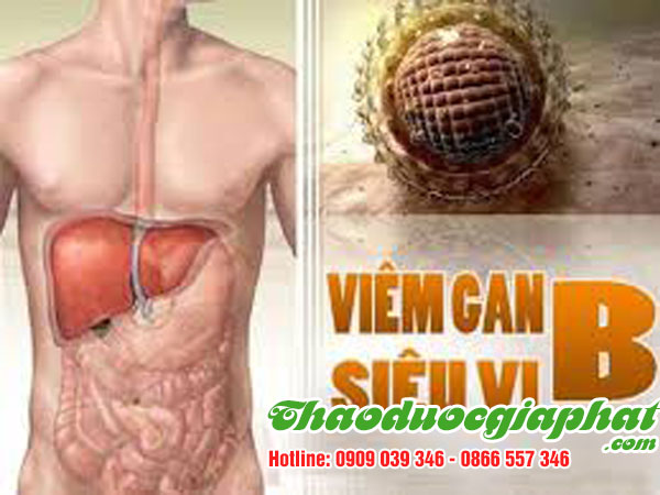 diep-ha-chau-dieu-tri-viem-gan-b-tai-quan-1