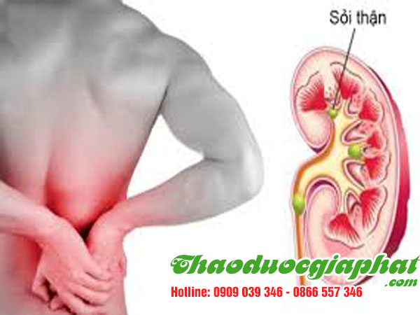 diep-ha-chau-giup-phong-ngua-soi-than-tai-quan-9.