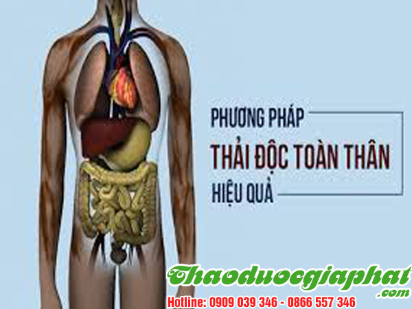 giai-doc-co-the-hieu-qua-tai-quan-tan-phu