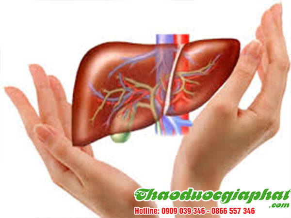 giai-doc-gan-an-toan-hieu-qua-tot-tu-kim-tien-thao-tai-quan-9