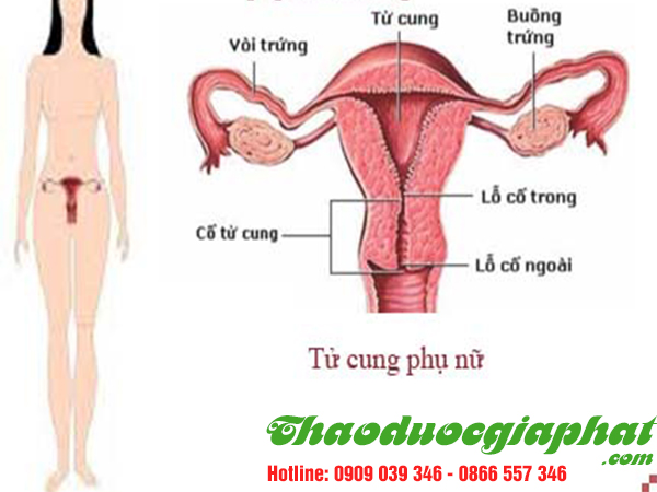 giup-dieu-tri-cac-benh-ve-tu-cung-hieu-qua-tai-huyen-can-gio