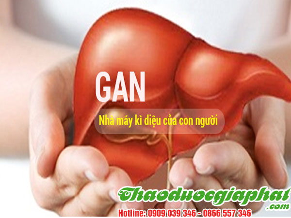 giup-tang-cuong-chuc-nang-gan-hieu-qua-tai-quan-5