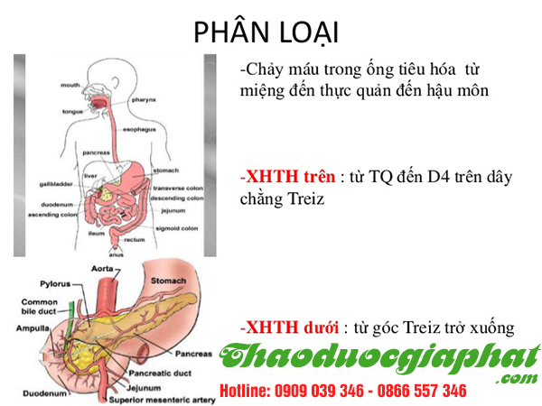 giup-tieu-mau-hieu-qua-tai-quan-5