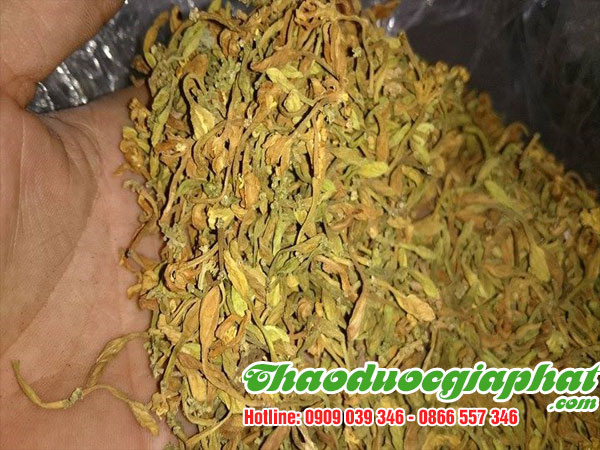 hoa-du-du-duc-tai-quan-12